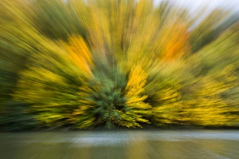 Autumn impression by the river
