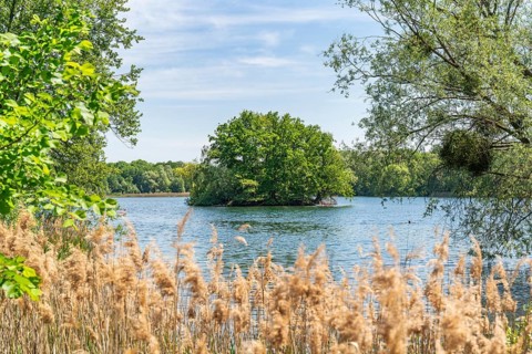 Island in Nymphensee