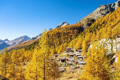 Alpine huts on the Fafleralp