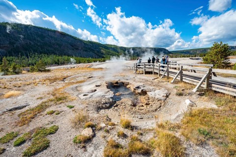 Black Opal Pool