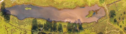 Panorama of Pond in Powderham Park from a drone