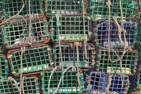 Traps for lobster
