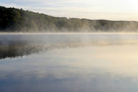 Moehnesee