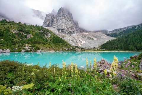 Flowers at the turquoise green mountain lake