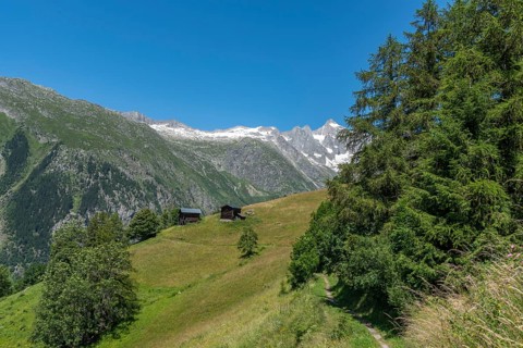 Landscape panorama with the Wannenhorn group in the background
