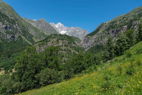 Landscape with the Wannenhorn from the hiking trail between Bellwald and Aspi-Titter suspension bridge