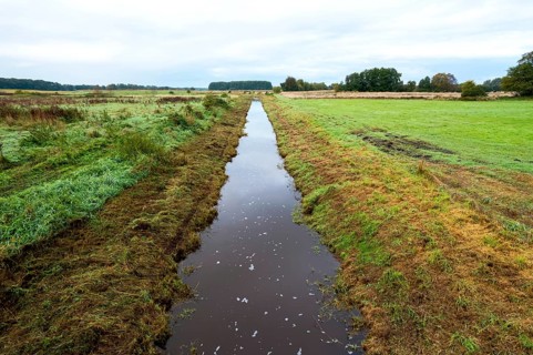 Suedradde