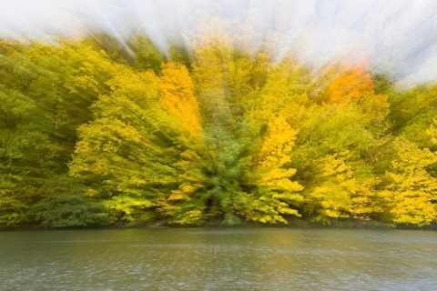 Autumn impression by the river