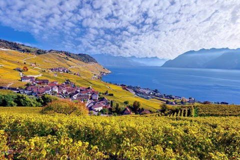Village view of Riex with autumn-coloured vineyards
