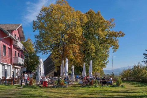 Restaurant and beer garden at Mariaberg with autumnal chestnut trees