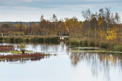 Autumn moorland