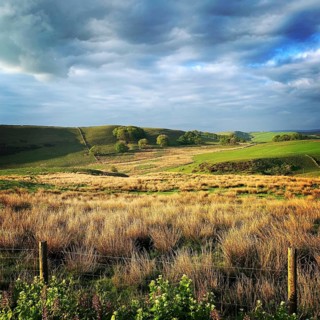 Buxton