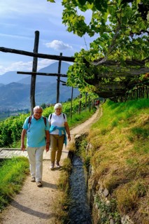 Hikers