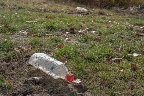 Discarded plastic bottles in a meadow in the shore zone