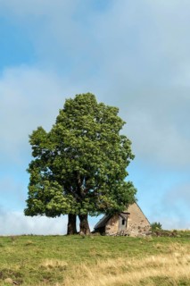 Old farm on Cezallier plateau in the Auvergne volcanoes regional natural park