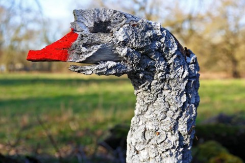 Art in the open landscape on natural structures
