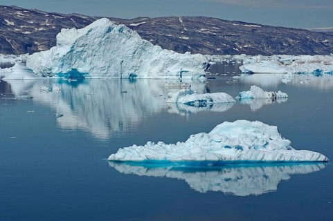 Icebergs perfectly reflected in a fjord