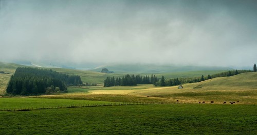 Cezallier plateau in the Auvergne volcanoes regional natural park
