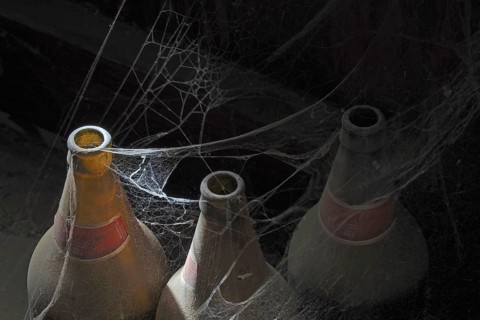 Beer bottles in cobwebs