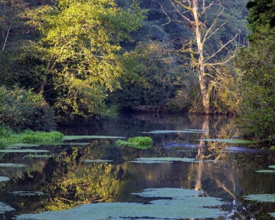 Old arm of the Schwalm