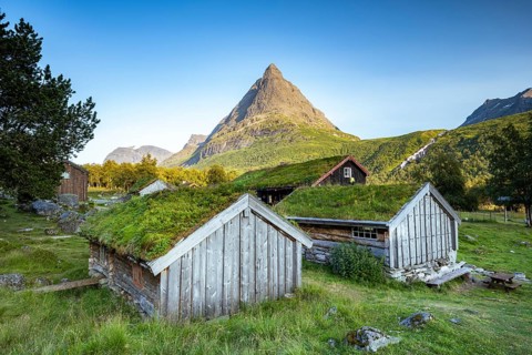 Traditional houses