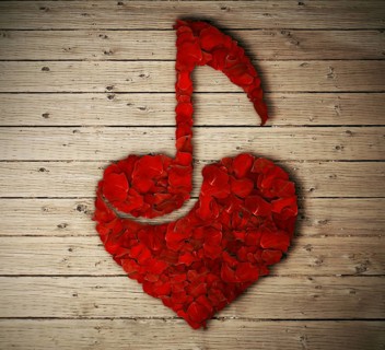 Red rose petals