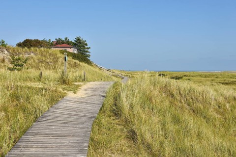 Dune paths near Wittduen