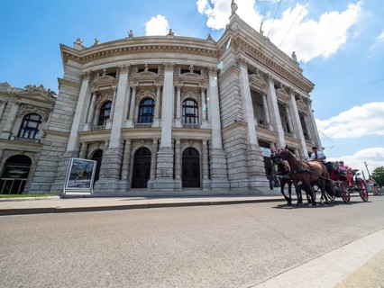 Fiaker in front of the Burgtheater