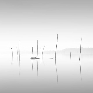 Minimalist piles of flooded fishing nets and fish traps on Lake Trasimeno