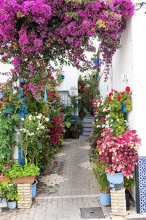 Barrio de los pescadores