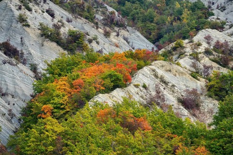 Casentinesi Forests NP