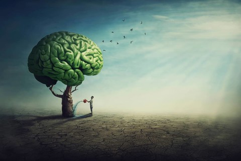 Surreal brain tree in a desolate land and a determined person watering it using a sprinkling can