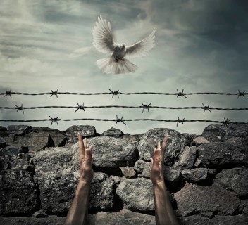 Man arms on a stone wall fence background with barbed wire on top as a convict in a prison rise hands to the sky on a flying pigeon