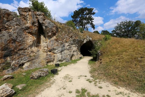 Vogelherd Archaeopark