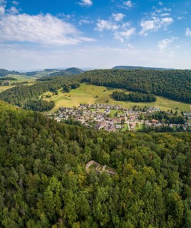 Scheidegg Castle Ruin