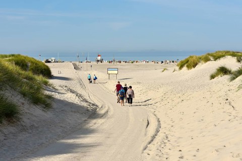 Foredunes at the beach section Nebel