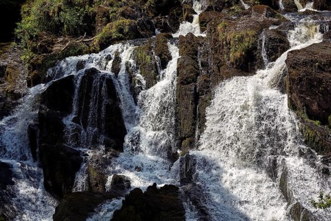 Swallow Falls
