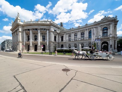 Fiaker in front of the Burgtheater