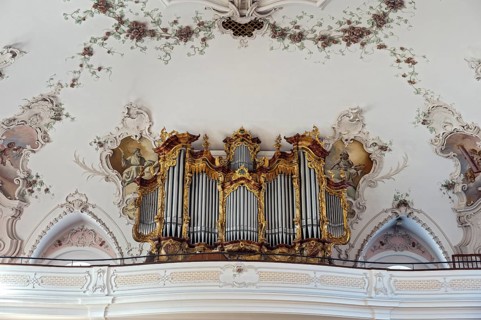 The organ of St