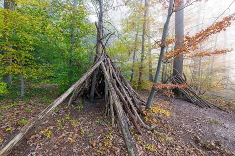 Tipi