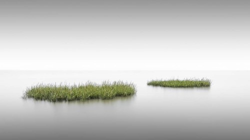 Grass islands on the tidal flats near Keitum on Sylt