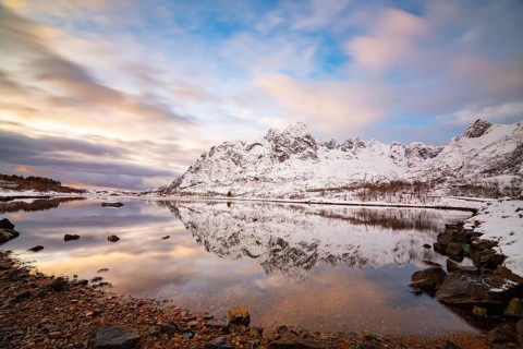 Winter panorama
