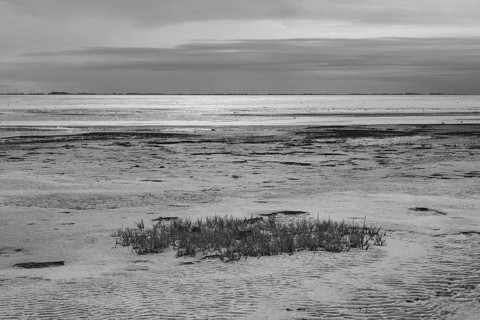 Low tide on the North Sea coast