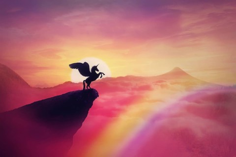 Wild pegasus silhouette on a cliff edge against a pink paradise sunset