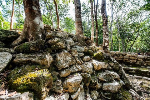 The archeological Maya site Coba