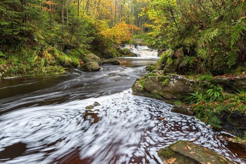 Mountain stream La Hoegne