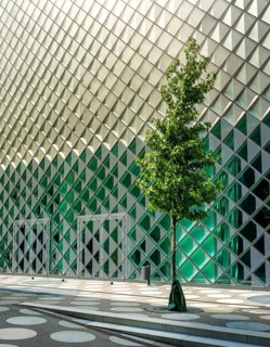 Small tree in front of the glass facade of the Futurium Museum on Kapelle Ufer