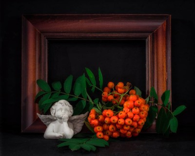 Still Life with Wooden Frame