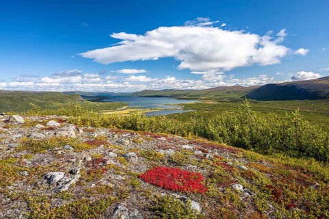 View of the Visttasjohka river delta and Lake Paittasjaervi