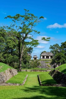 Unesco world heritage site the Maya ruins of Palenque